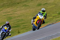 PJ-Motorsport-2019;anglesey-no-limits-trackday;anglesey-photographs;anglesey-trackday-photographs;enduro-digital-images;event-digital-images;eventdigitalimages;no-limits-trackdays;peter-wileman-photography;racing-digital-images;trac-mon;trackday-digital-images;trackday-photos;ty-croes